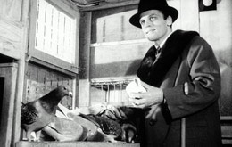 Edgar Wallace: Das Rätsel der roten Orchidee