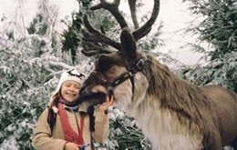 Santa Clause 2: Eine noch schönere Bescherung
