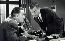Edgar Wallace: Die seltsame Gräfin