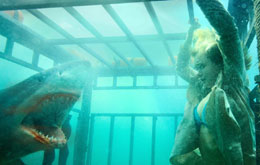 Shark Night