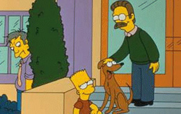 Die Simpsons (TV-Serie) - Staffel 5