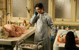 Six Feet Under - Gestorben wird immer (TV-Serie) - Staffel 5