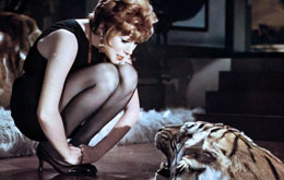Sweet Charity