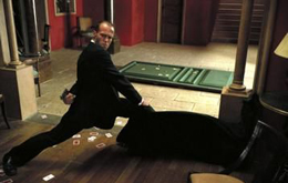 The Transporter