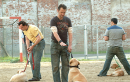 Underdogs